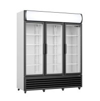 Glastürkühlschrank GTK 1065 von Saro -  3...
