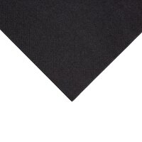 Fiesta Recyclable Cocktailservietten schwarz 24cm (4000...