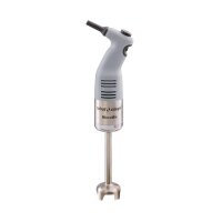 Robot Coupe Micromix Stabmixer