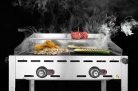 HENDI Grillsystem Green Fire – 2 Brenner, 11,6 kW, Profi Line