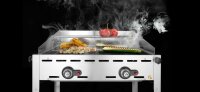 HENDI Grillsystem Green Fire – 2 Brenner, 11,6 kW, Profi Line