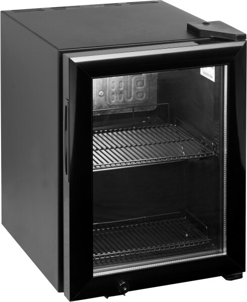 Esta Getränkekühlschrank L22G mit 22 Liter - Umluft, 1 Tür, Tischgerät
