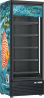 Tiefkühlschrank DF560BC - Esta