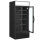 Glastür-Kühlschrank HL 891 GLSS - Esta