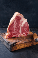 Dry Age Schrank 293L