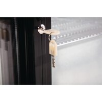 Barkühlschrank Mit 208 Liter, 2 Türen