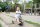 Toptrike Little Cruiser