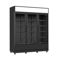 Combisteel Kühlschrank Profi-Line mit 2...