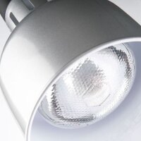 Gastro-Wärmelampe für Decke – Höhenverstellbares Spiralkabel, 0,25 kW, Infrarotstrahler